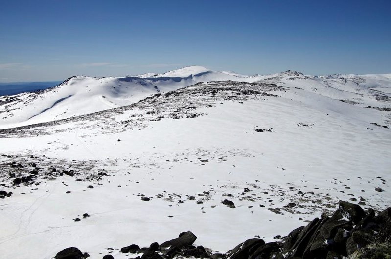 View to Kosciuzko from North Ramshead.jpg