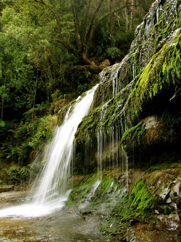 Liffey Falls 043.jpg