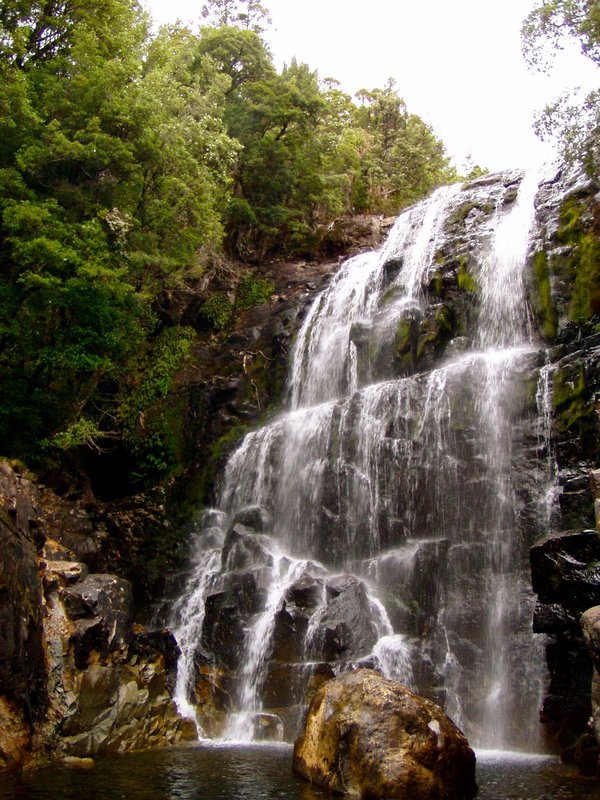 Overland Track 08 134.jpg