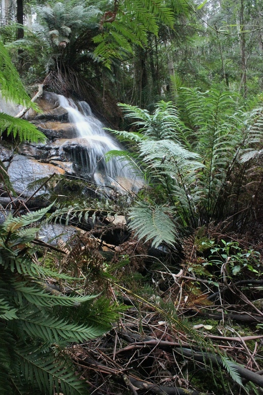 Bunyip Falls Photo 2.jpg