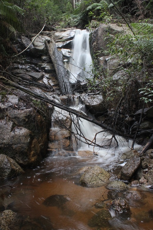 Learmonth Falls.jpg