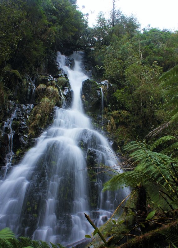 Merriman Creek Falls.jpg