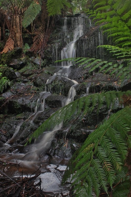 Noojee Falls Upper.jpg