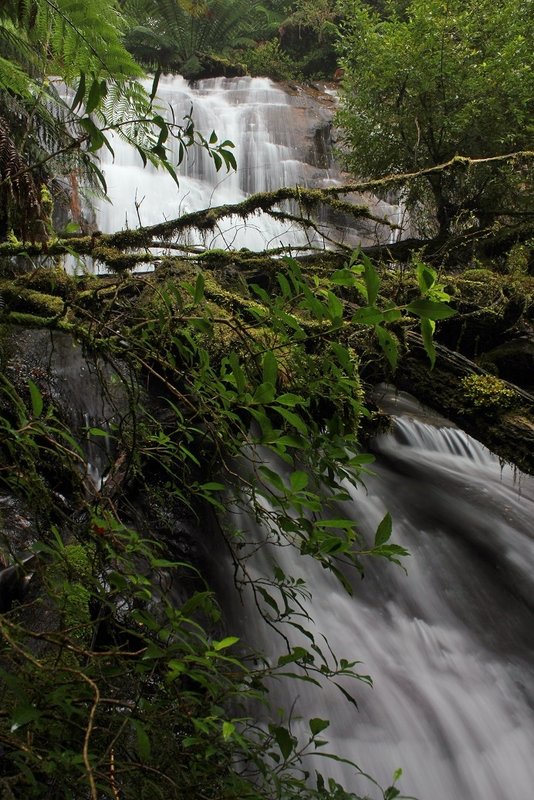 Splitters Falls Lower (Yarra Valley).jpg