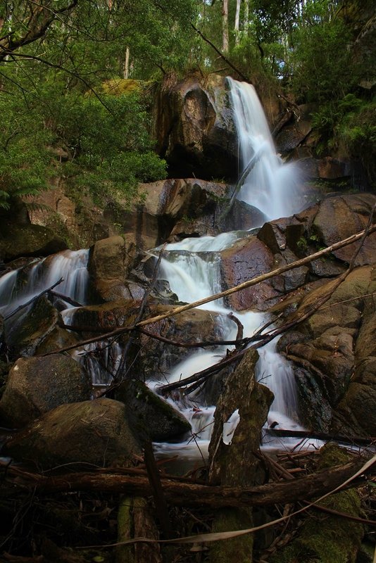 Tooronga Falls Upper.jpg