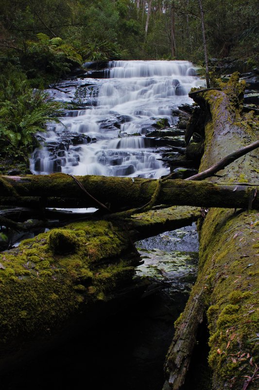 Wanliss Falls Lower 2.jpg