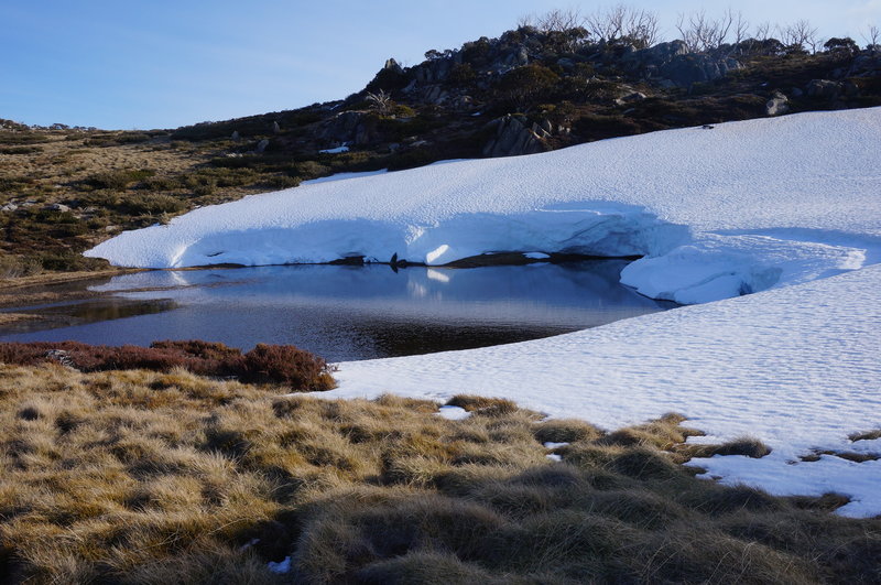 Snowies 2016 - Bluff Tarn 2.JPG