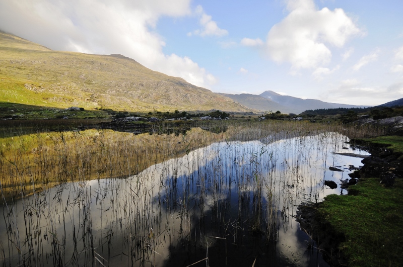 Cummeenduff Glen (22) (800x531).jpg