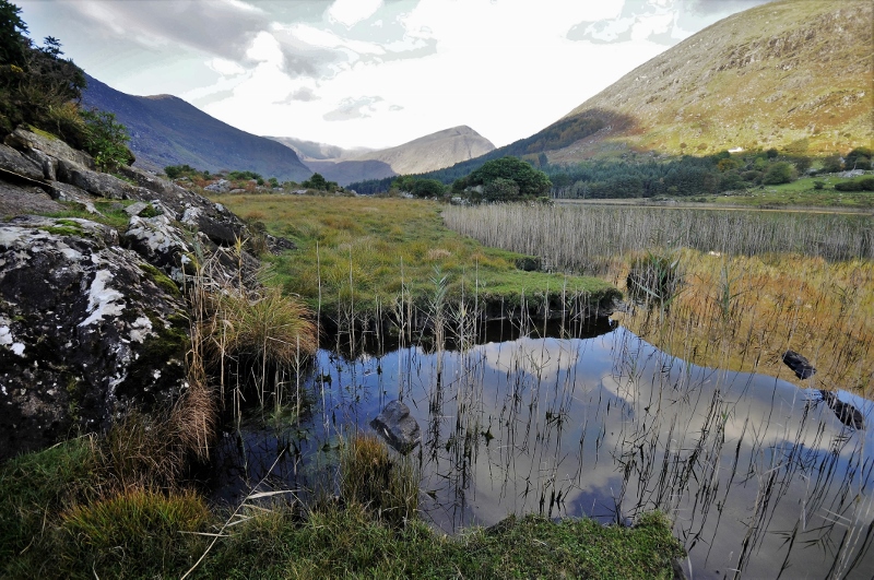 Cummeenduff Glen (24) (800x531).jpg