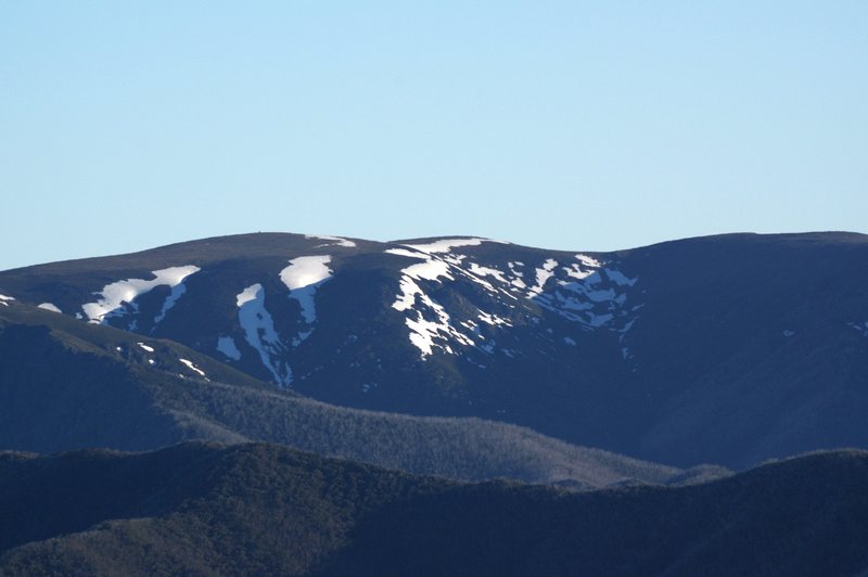 Bogong4440.jpg