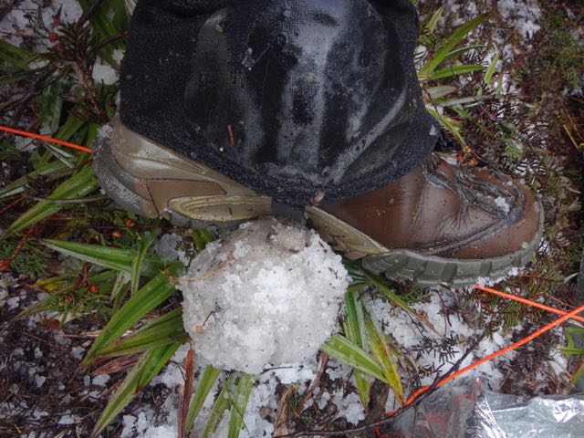 ice ball on gaiter (2).jpg