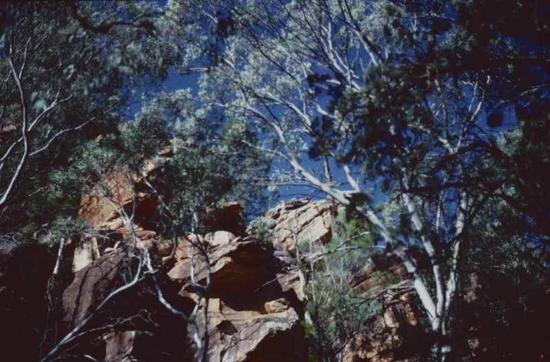 Larapinta Track.png