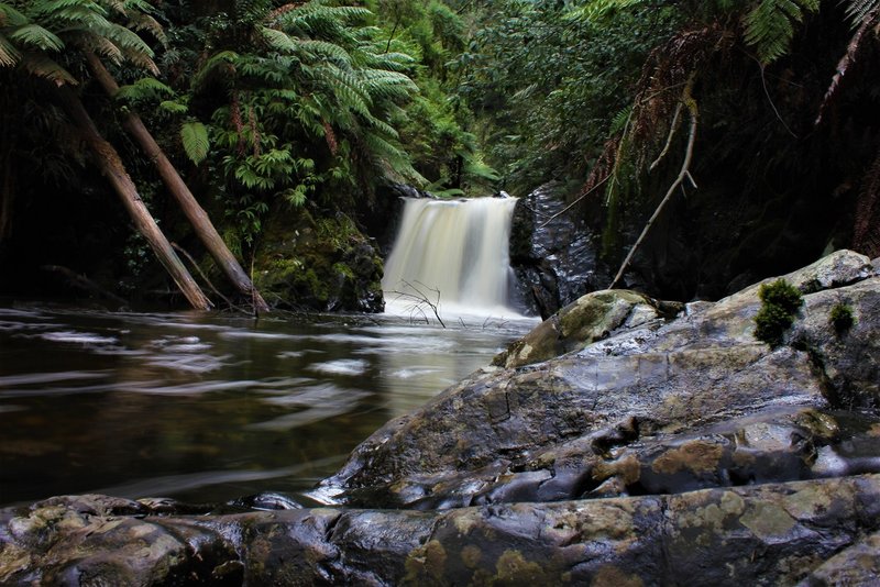 Tanjil Falls Upper.jpg