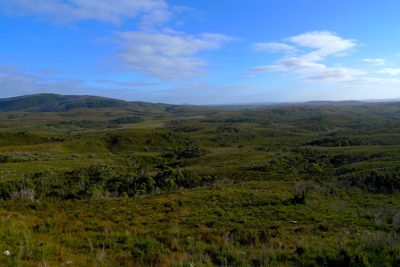 3 Buttongrass plains from the slopes of Mt Edith.jpg