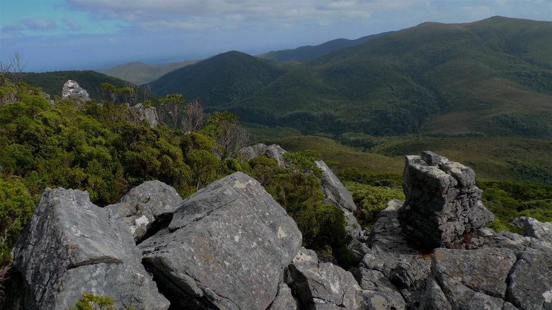 5 Mt Edith & Norfolk Range from slopes of Mt Hadmar.jpg