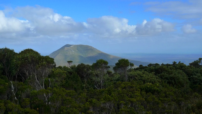 8 Mt Sunday and scrub on the slopes of Mt Hadmar.jpg