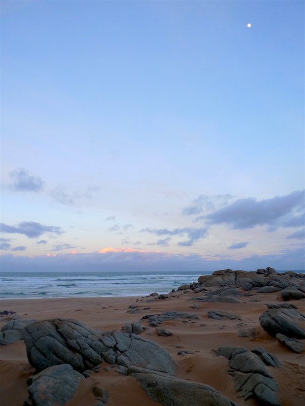 25 morning moonlight on the tarkine coast.jpg