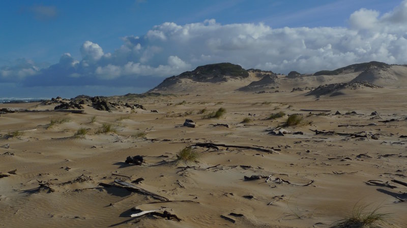 29 sand dunes in light.jpg