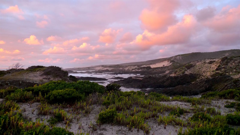 33 Evening light looking north.jpg