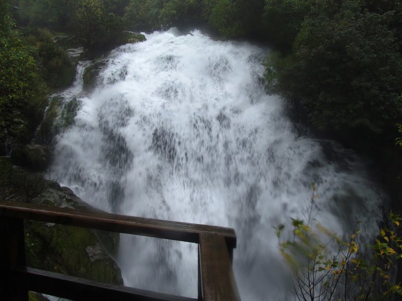 Moraine Creek, NZ.jpg