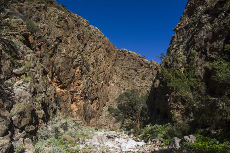 2225FossilGorge.jpg