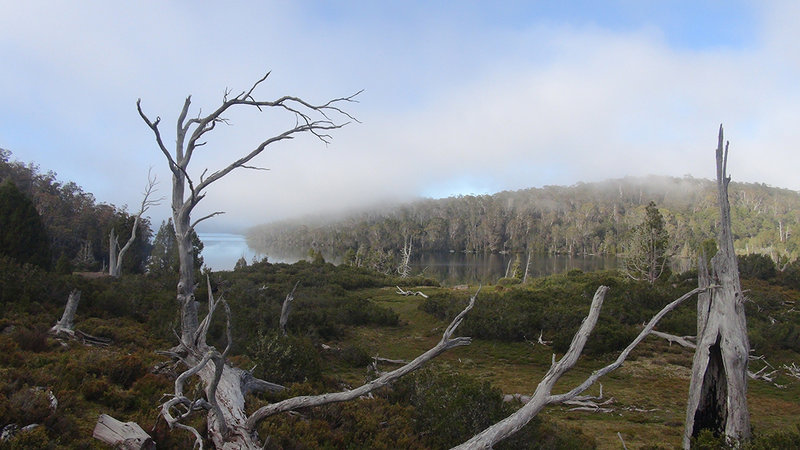 fog lifting on Lake Adelaide.jpg