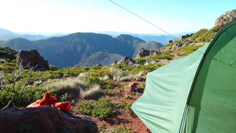 Crinoline campsite.png