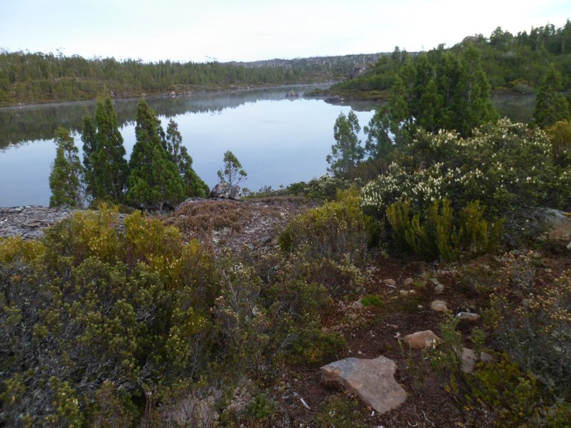 Bathurst Harbour.jpg