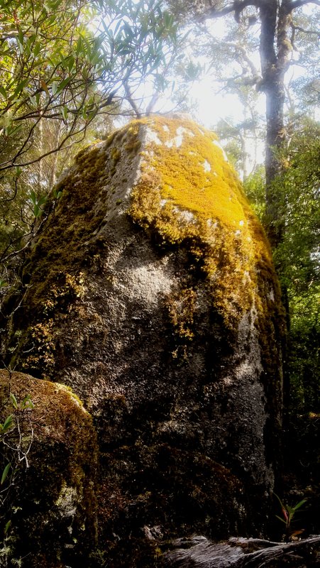 Littlechild summit cairn.jpg