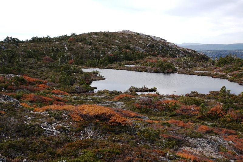 Tarn0121.jpg