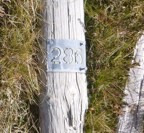 Pole 286 S.jpg