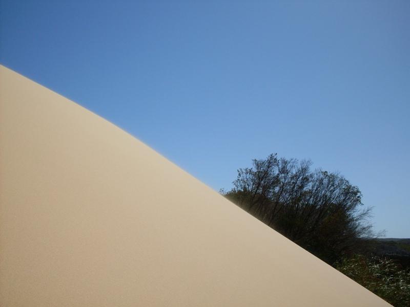 Marley Dunes 1.jpg