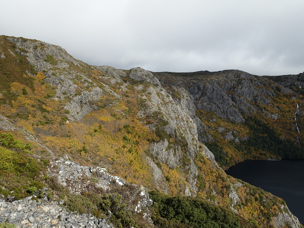 2019-05-04 Cradle Mountain 071a - Fagus by Crater Lake.JPG