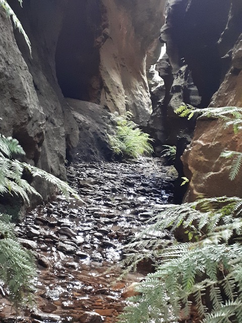 walk-through-canyon.jpg