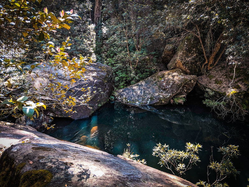 kanuka brook.jpg