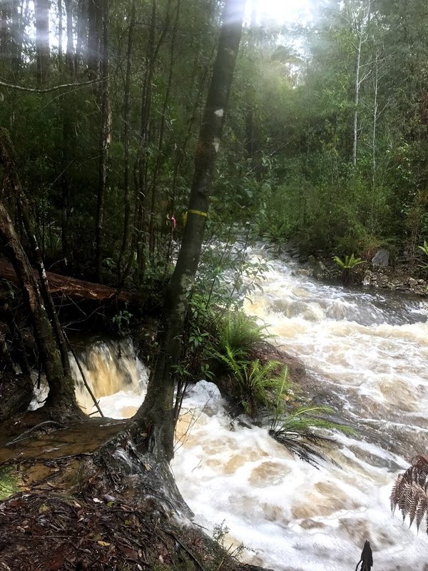 Kermandie - start of track creek crossing.jpg