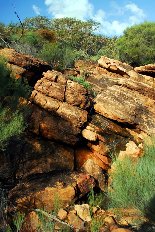 The trip - Flinders Ranges - Malloga Falls Hike 240.jpgsm.jpg