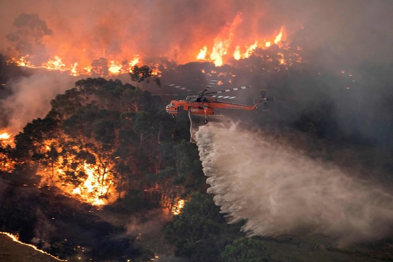 Bushfires2019D.jpg