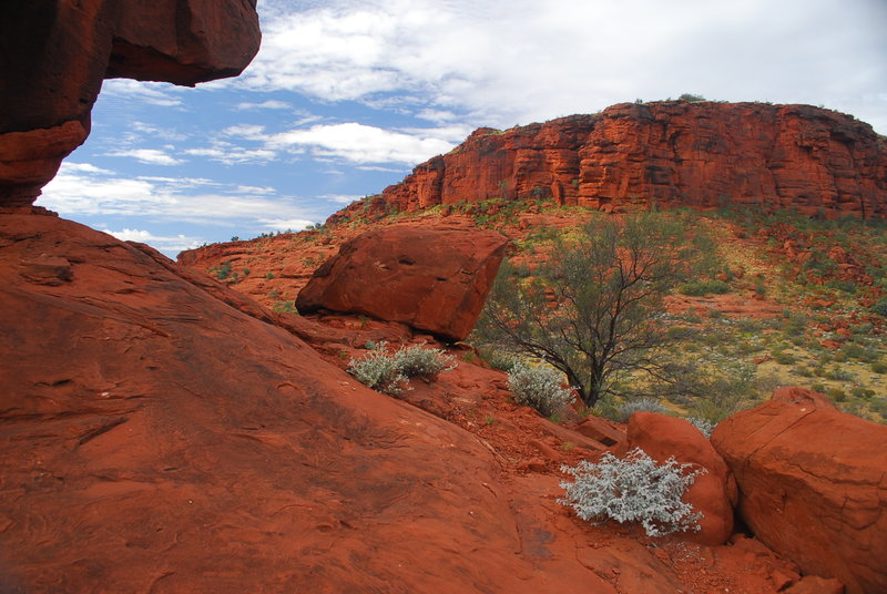 The trip - Alice Springs - Palm Valley 257 sp.jpg