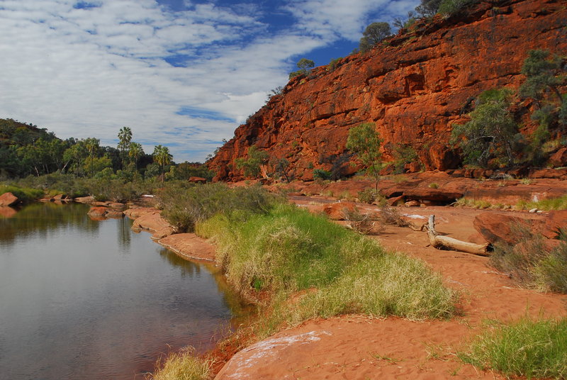 The trip - Alice Springs - Palm Valley 165 sp.jpg