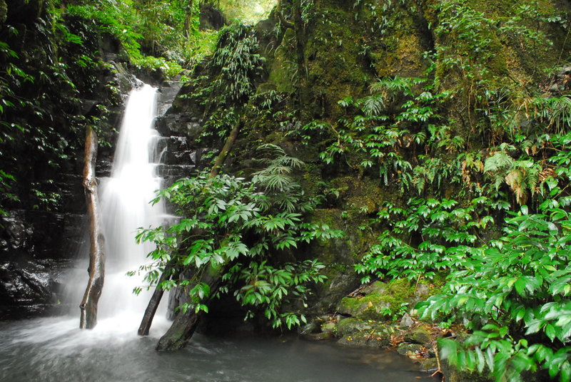 Barrington Tops - Rocky Crossing (76).jpg