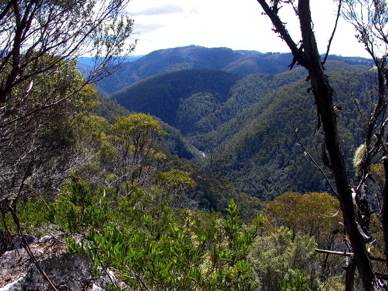 Leven River from top of Loongana Range.JPG