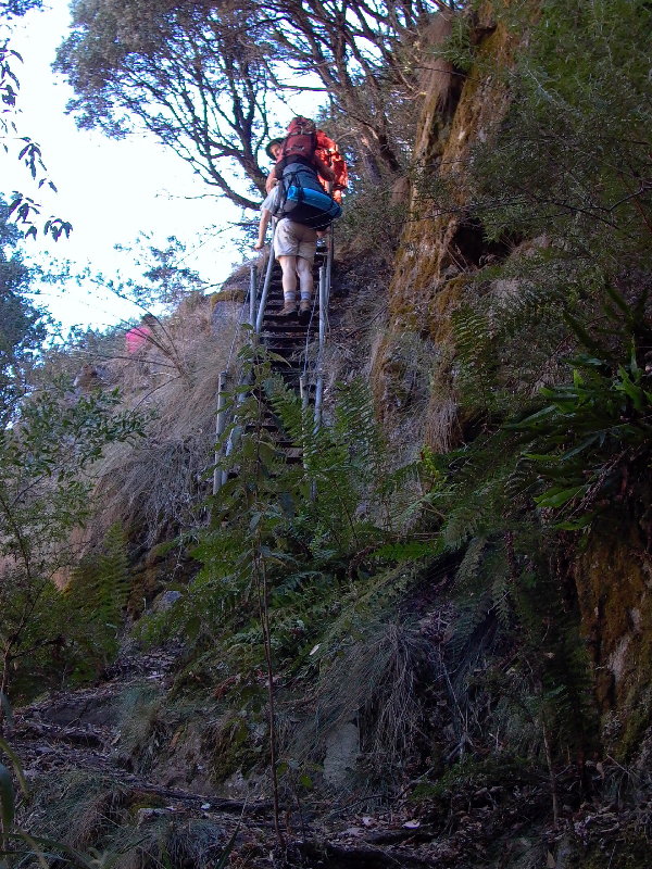 Ladder on Loongana Ra descent.JPG
