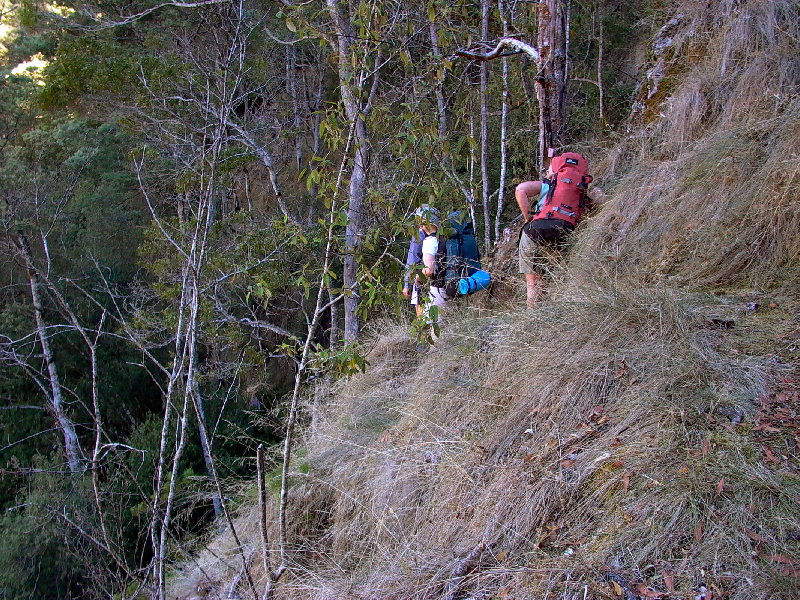 Typical track above the Leven.JPG