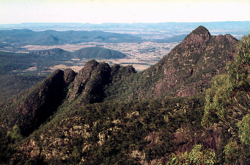 Eagles from N Ridge Mt Barney.jpg