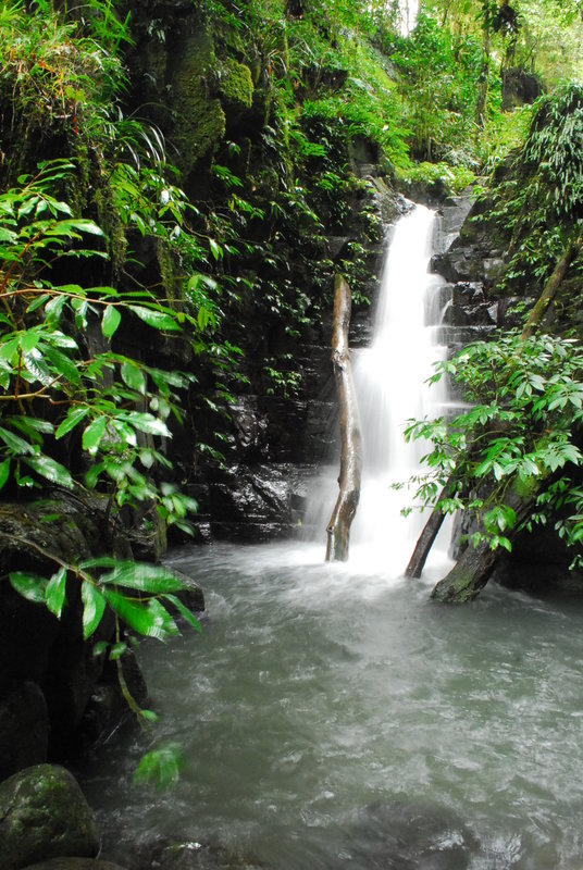 Barrington Tops - Rocky Crossing (77).jpg