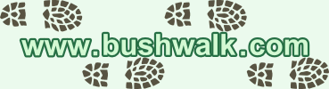 Bushwalk Forum