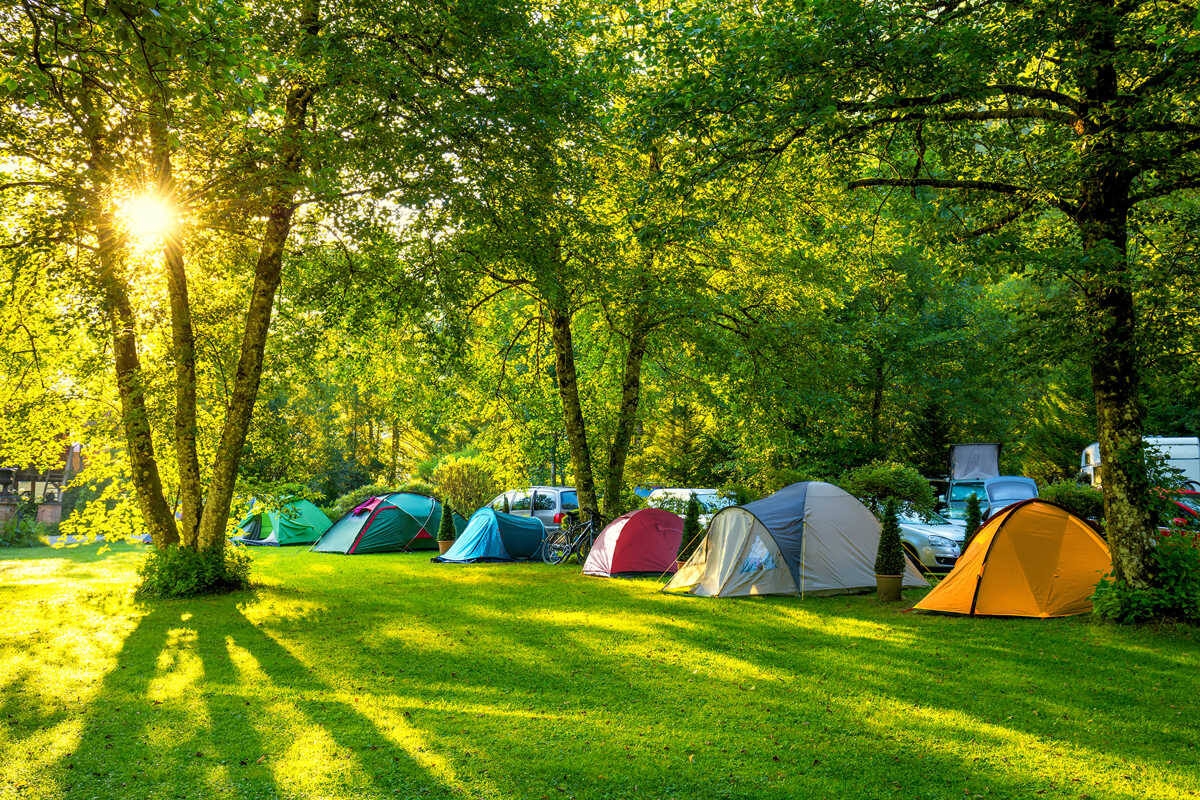 Tents & tarps