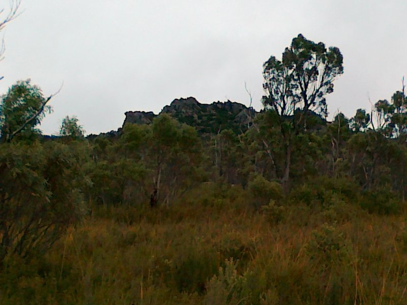 15052011145.jpg