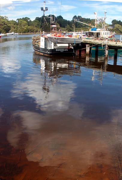 Macquarie Harbour panorama 4.jpg